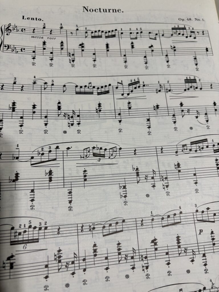 手持ち楽譜のスナップ写真